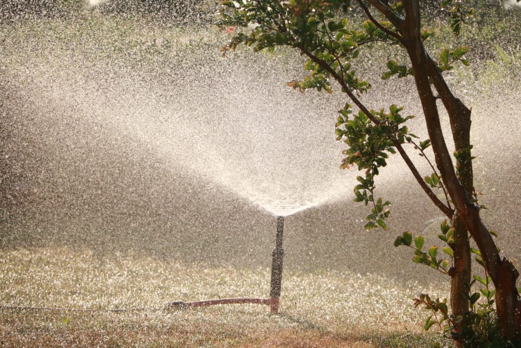 common problems with sprinkler heads