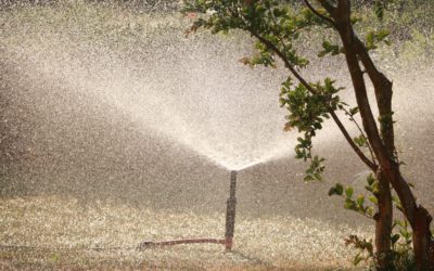 Picking the right irrigation system for your garden