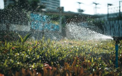 Troubleshooting Your Sprinkler System: How To Diagnose Problems
