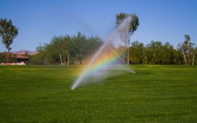 How Commercial Irrigation Can Change Your Life For The Better